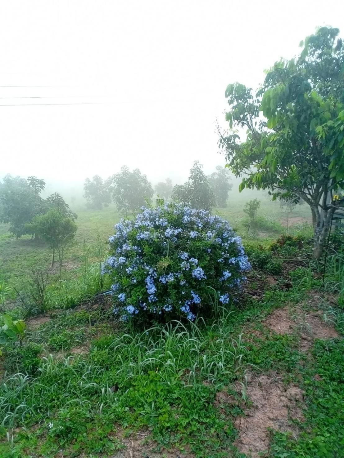 Phu Aram Khao Kho Resort Екстер'єр фото
