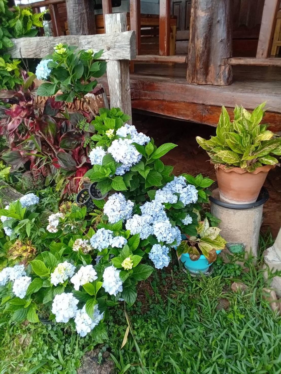 Phu Aram Khao Kho Resort Екстер'єр фото